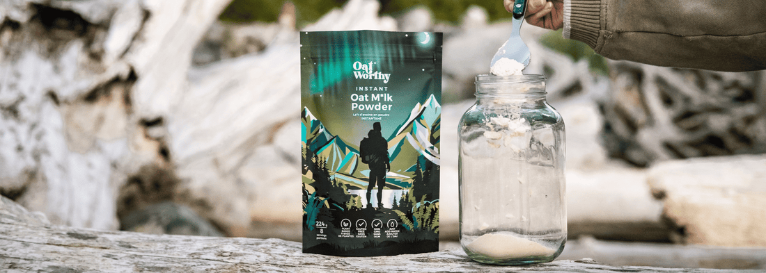 The Benefits of Using Oat Milk Powder in Your Daily Routine